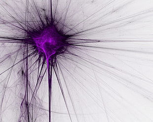 purple and white digital wallpaper